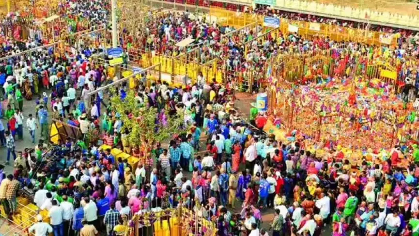 medaram jatara history dates rituals travel guide