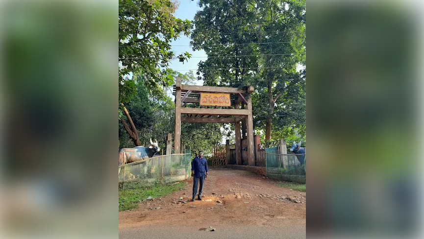 Vana Vihari Eco Resort Maredumilli