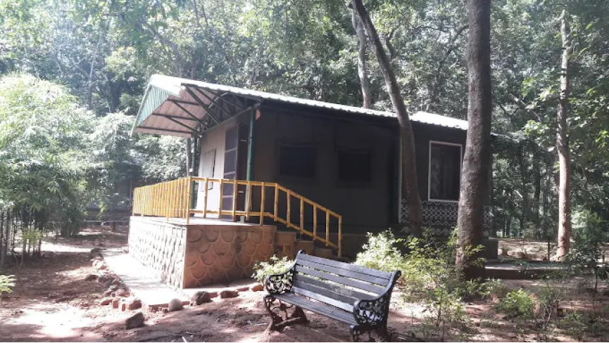 Jungle Star Nature Camp Maredumilli