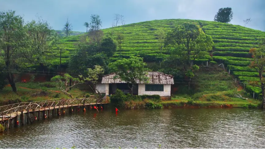 Vagamon meadows misty hills Kerala green landscape