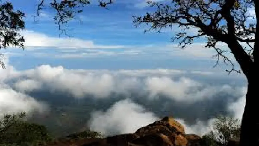 Nelliampathi hills Kerala coffee orange plantation views