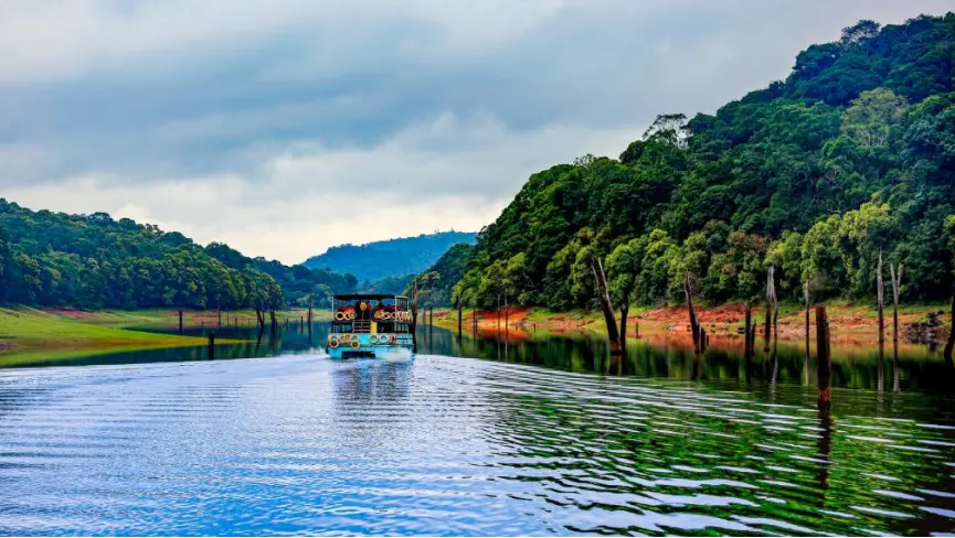 Thekkady Periyar Lake wildlife sanctuary Kerala elephants
