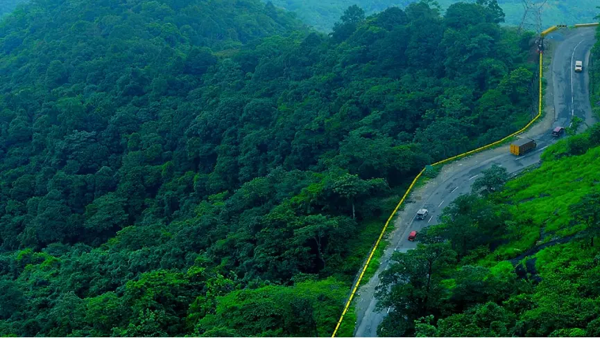 Kalpetta Wayanad misty morning Kerala spice plantation