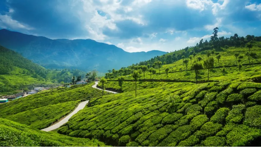 Idukki Kerala arch dam mountain landscape river gorge