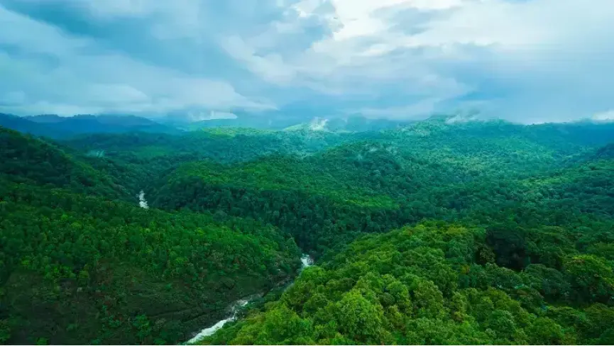 Silent Valley National Park Kerala tropical rainforest Western Ghats