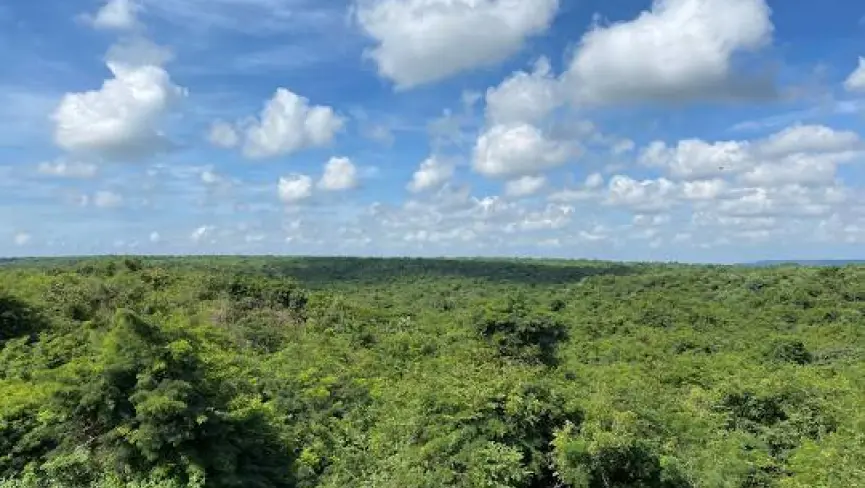 Vikarabad