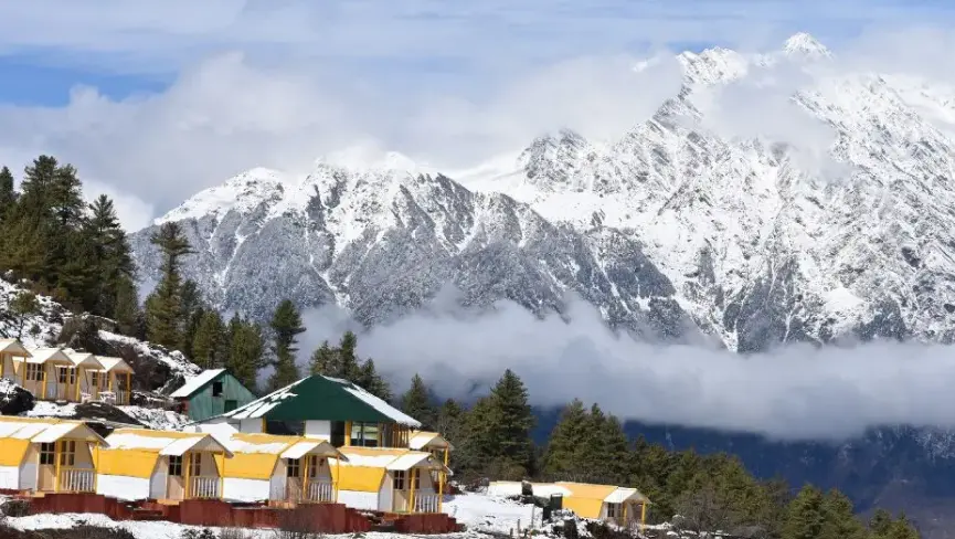 Auli
