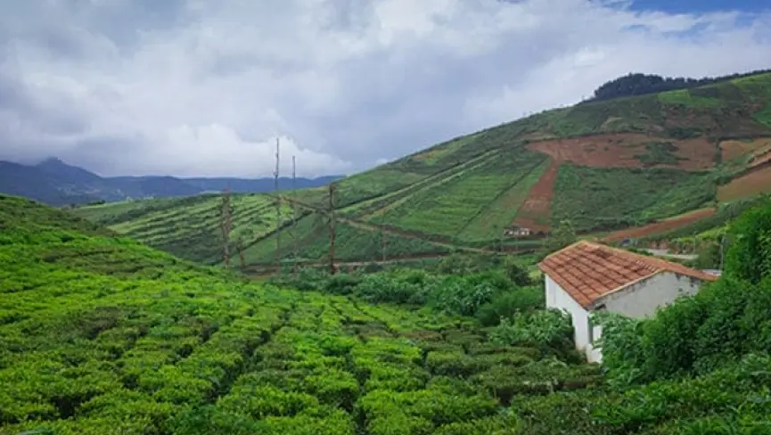 Coorg