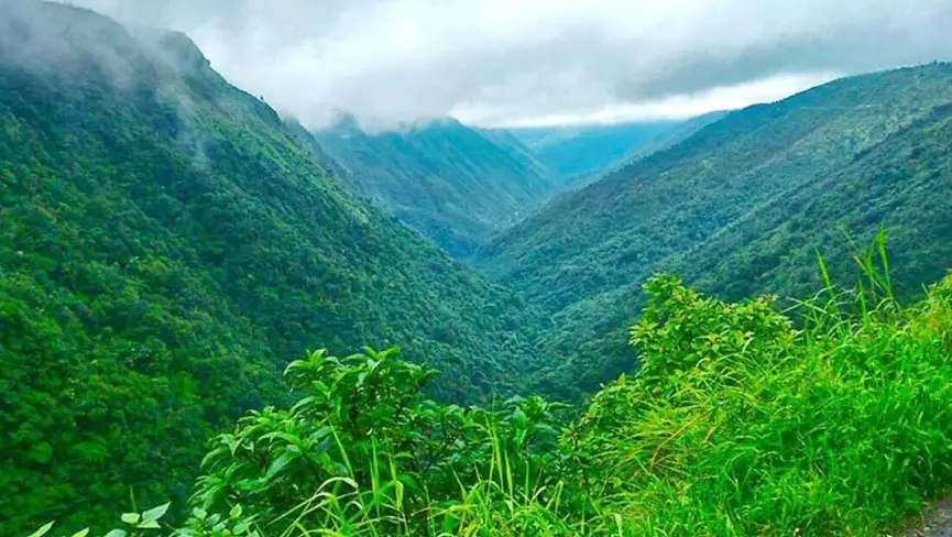 Green Valley