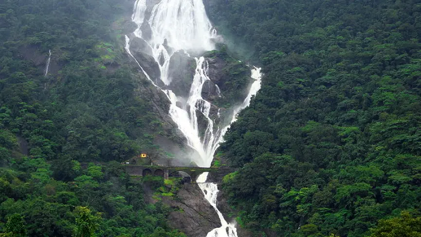Dandeli