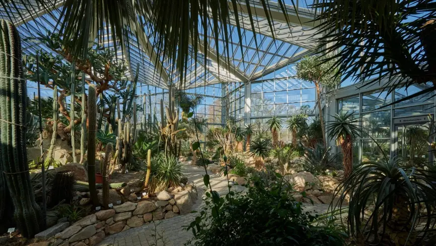 Palmengarten