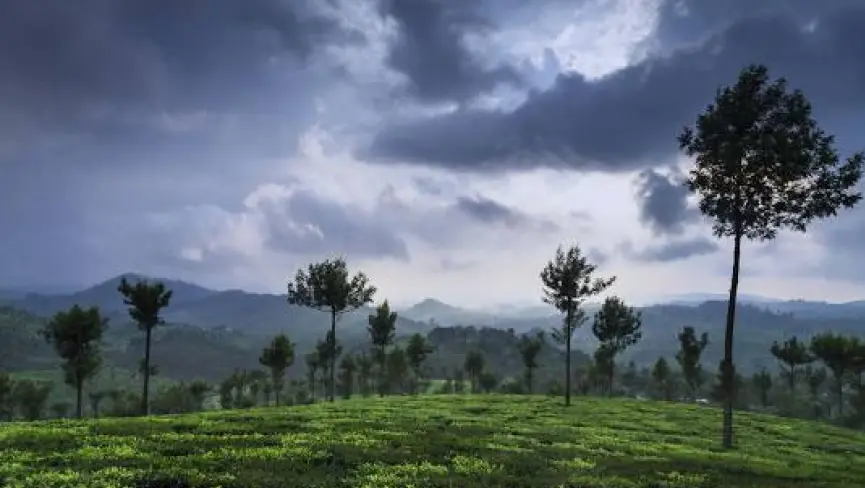 Valparai