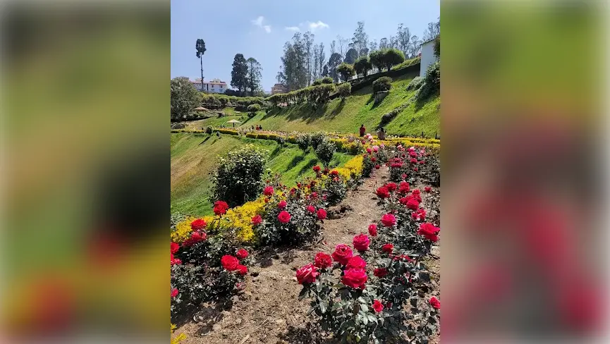 Government Rose Garden
