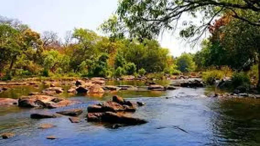 Kuruva Island