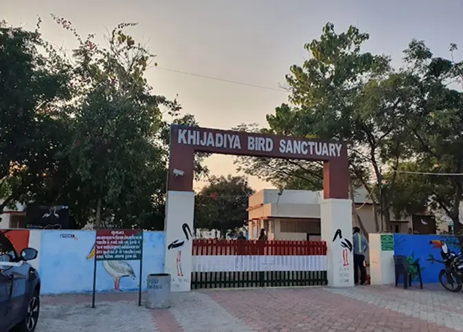 khijadiya bird sanctuary