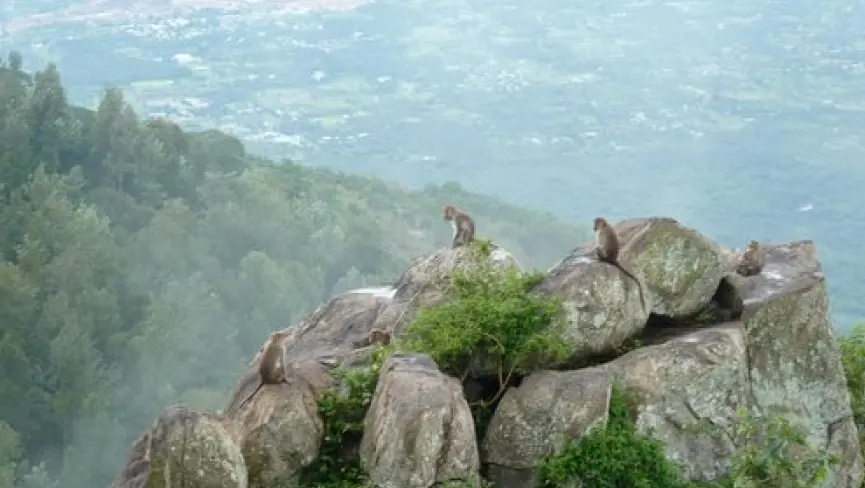 Lady s Seat Viewpoint