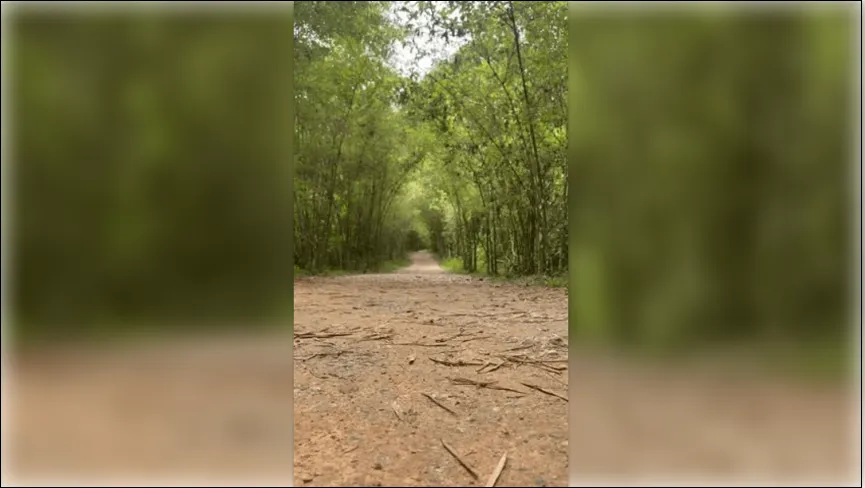 Chaduva Rakhal Forest