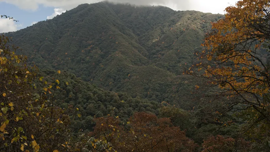 Eaglenest Wildlife Sanctuary