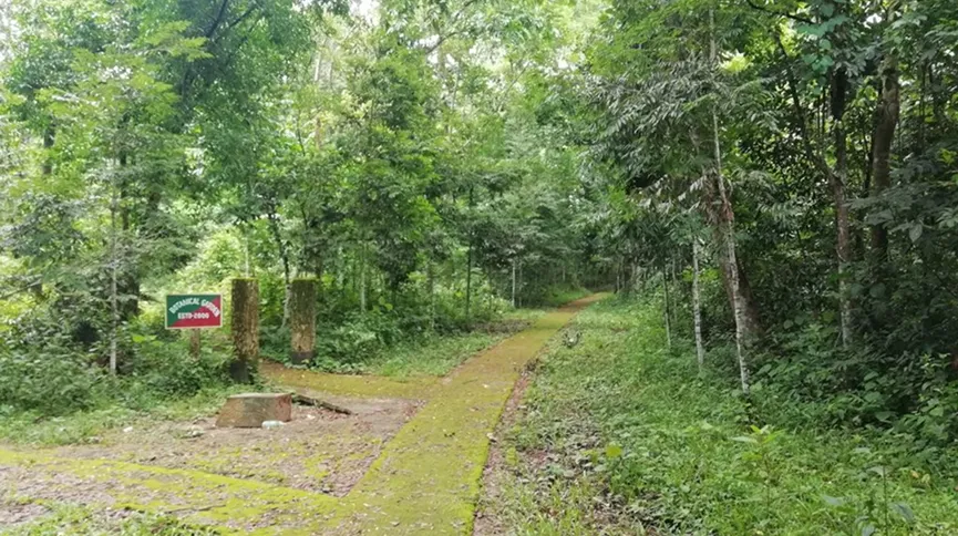 Rowa Wildlife Sanctuary