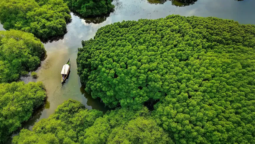 Mangalavanam Bird Sanctuary