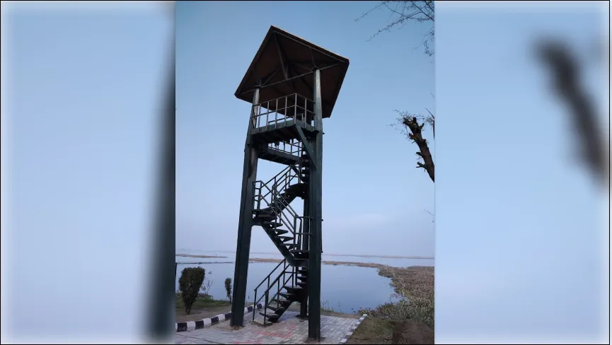 Harike Bird sanctuary