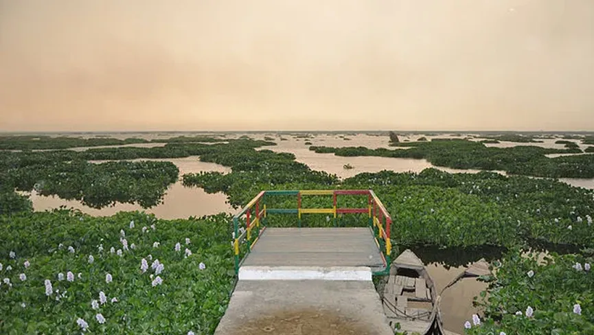 Harike Pattan Bird Sanctuary