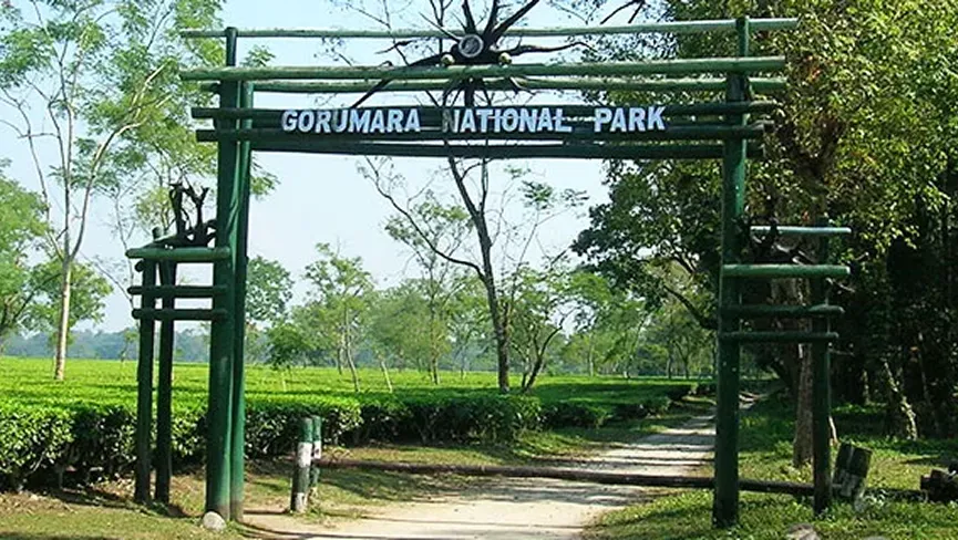 Gorumara National Park