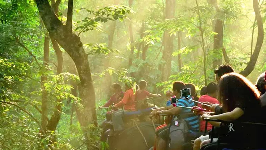 Jaldapara National Park