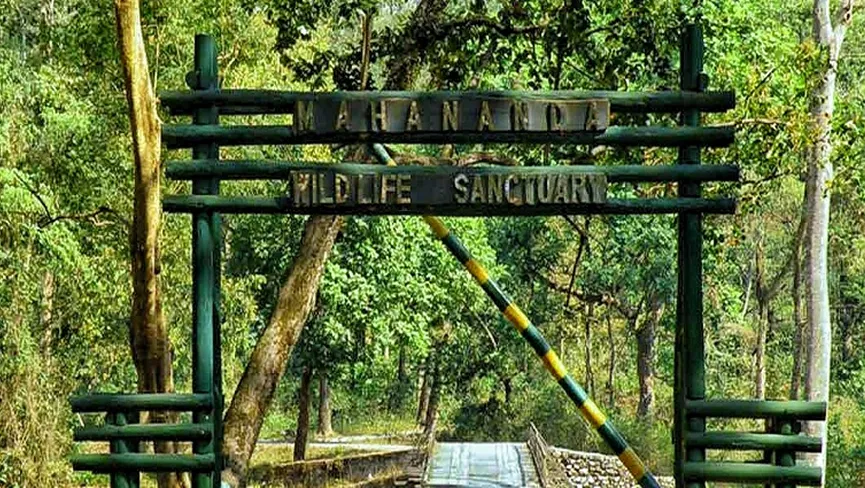Mahananda Wildlife Sanctuary