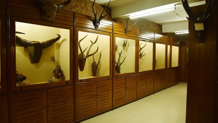 Mizoram State Museum