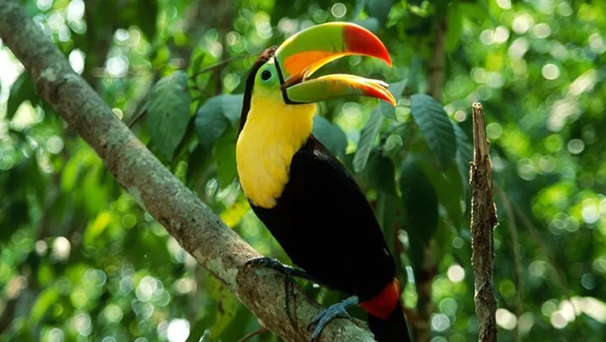 Murlen National Park