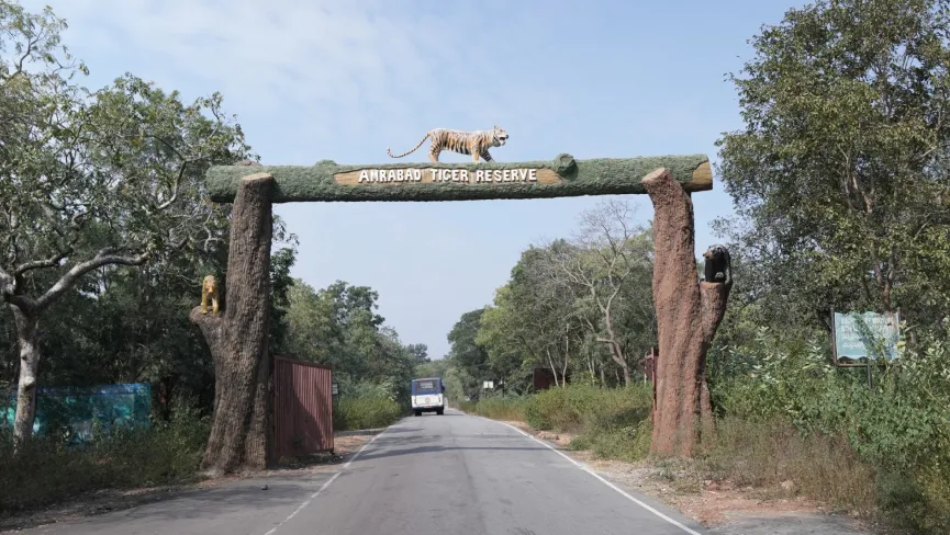 Amrabad Tiger Reserve