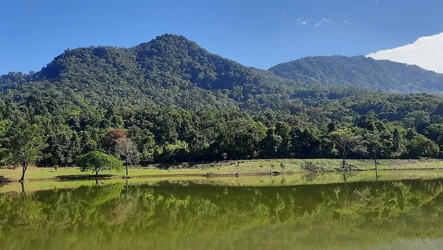 Sendenyu Community Biodiversity