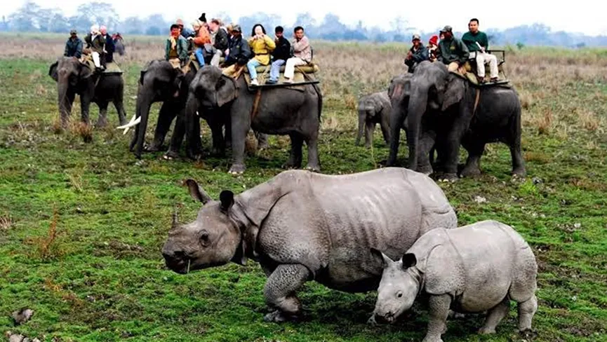Kaziranga National Park