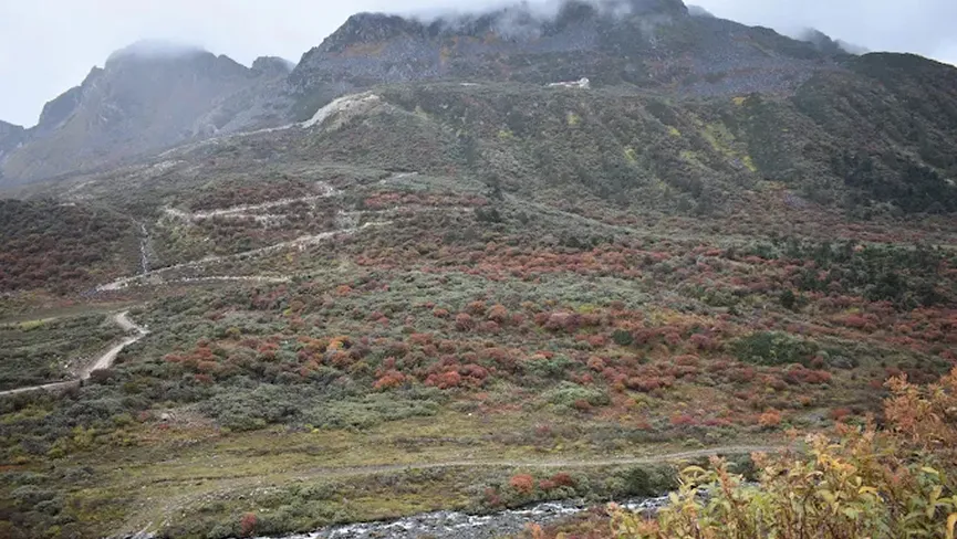 Gurudwara Tiger Hill