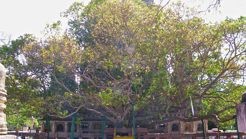 Mahabodhi Temple