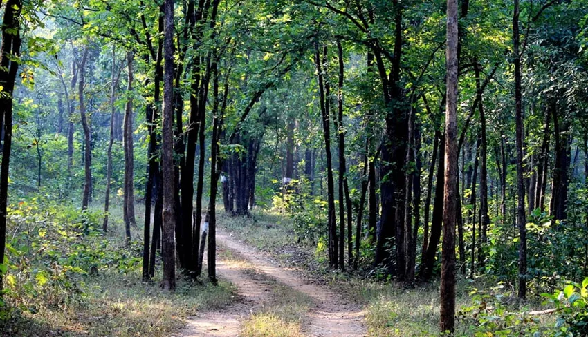 Barnawapara Wildlife Sanctuary