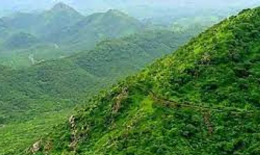 Gandhamardhan hills