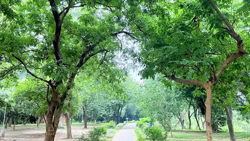 Leisure Valley Park Mohali