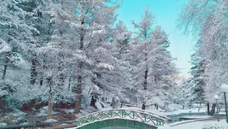 Kokernag Spring