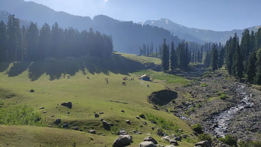 Hakwas Meadows Kulgam