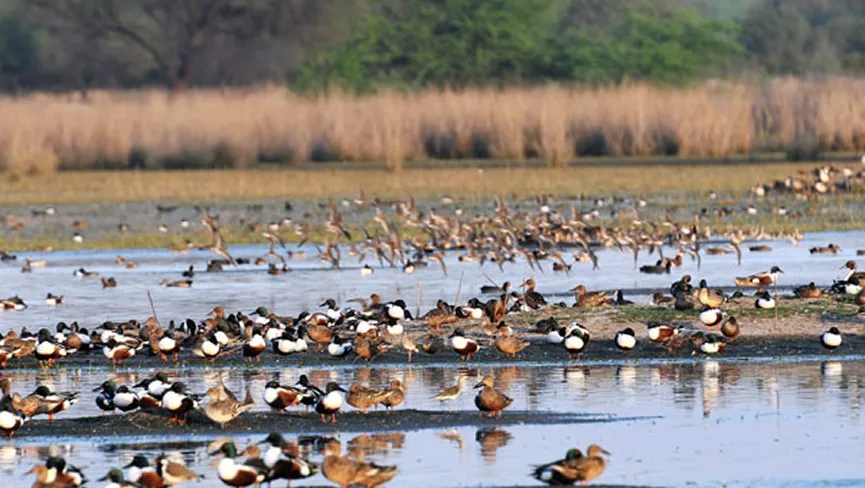 Sultanpur National Park