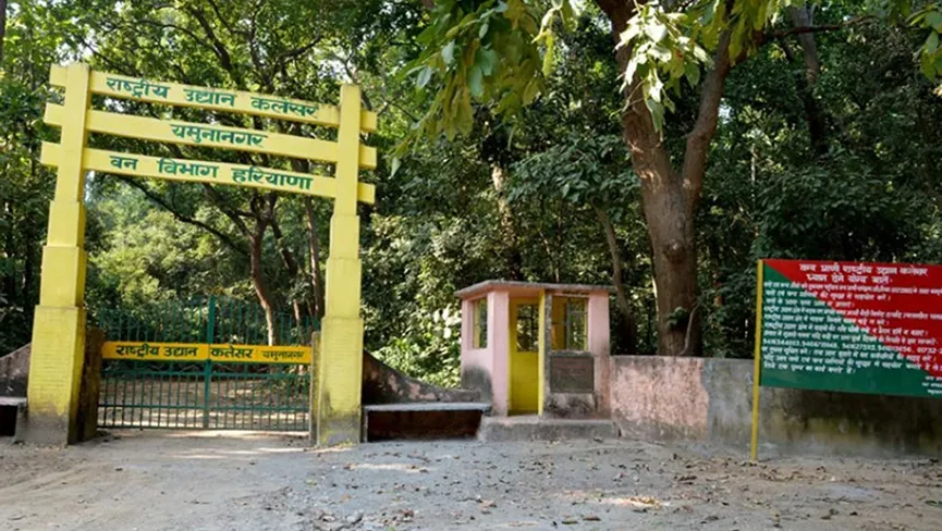 Kalesar National Park