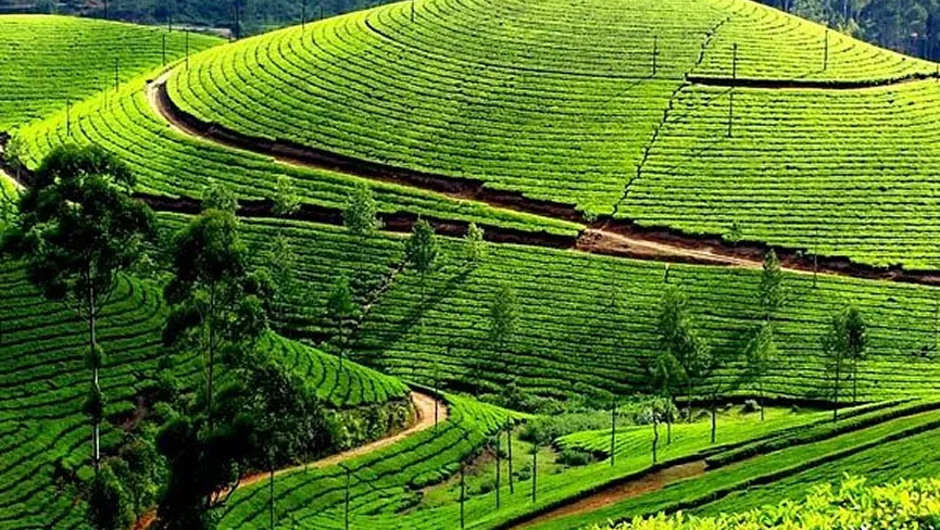 North Central Province