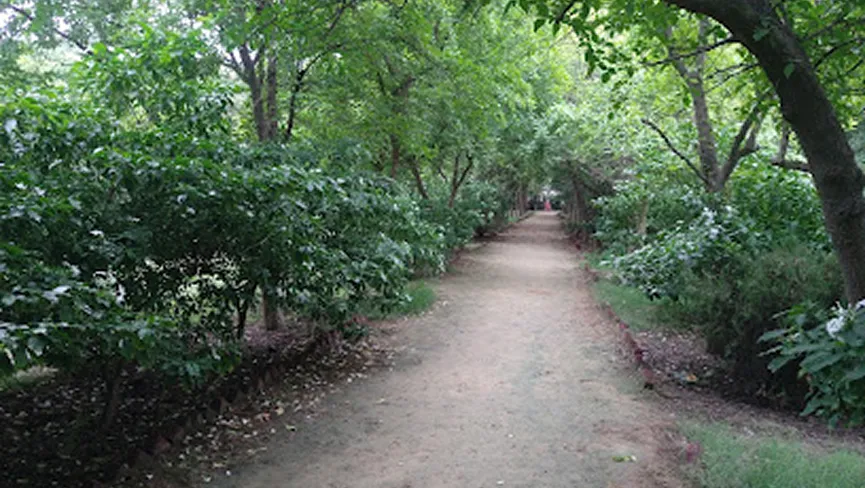 Herbal Park Jind  Haryana