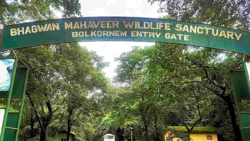 Bhagwan Mahavir Wildlife Sanctuary