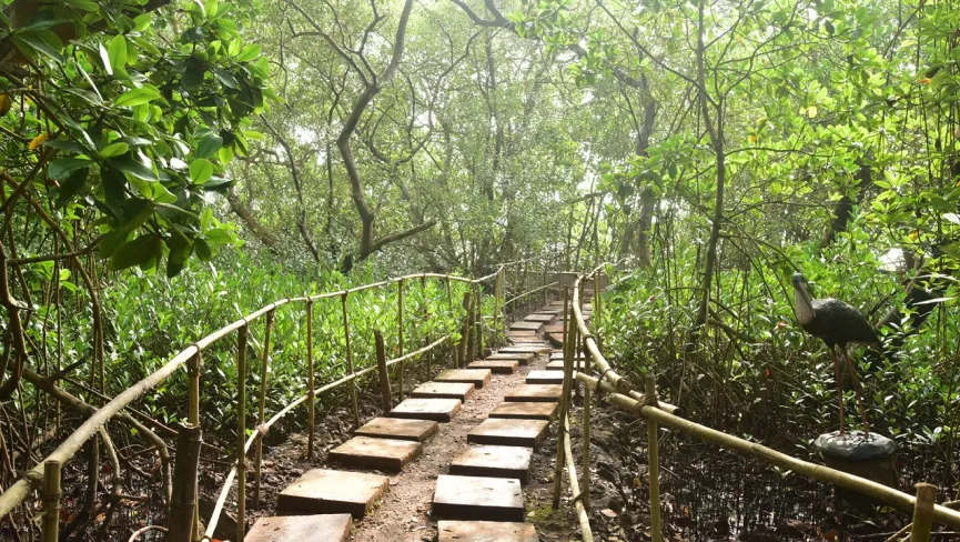 Dr. Salim Ali Bird Sanctuary