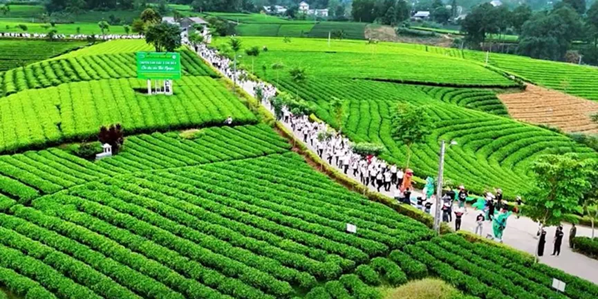 Thai Nguyen after merger