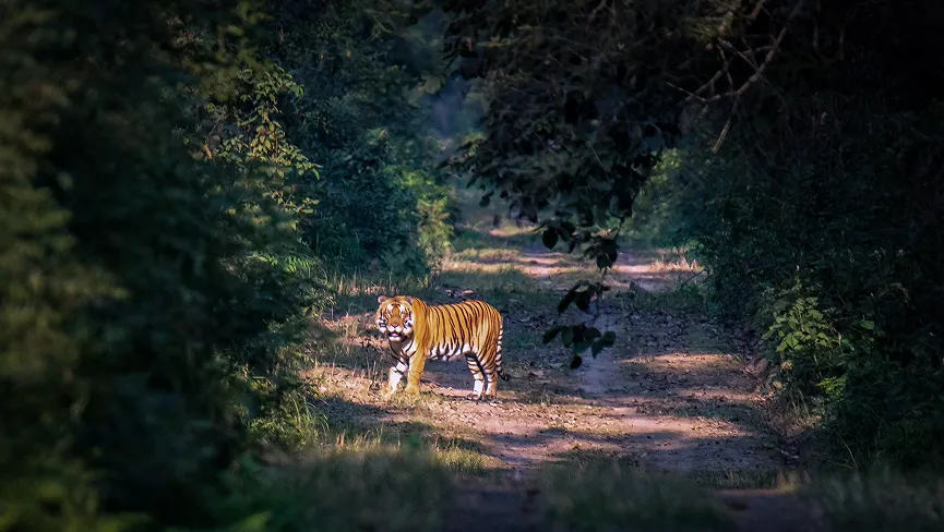 Dudhwa National Park