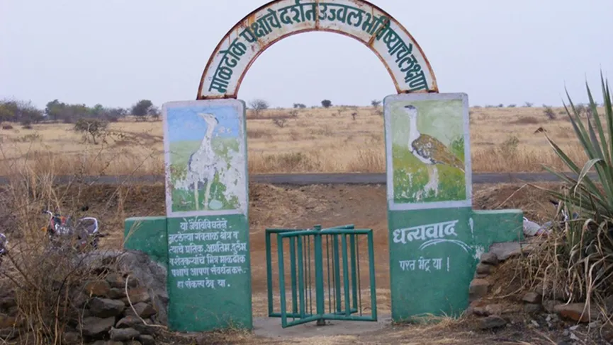 Great Indian Bustard Sanctuary